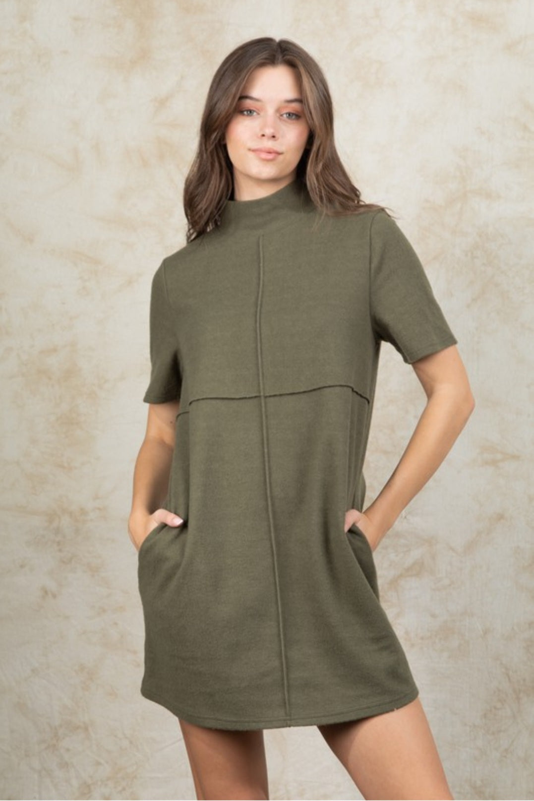 Seasonal Sophistication Mock Neck Dress (Olive)