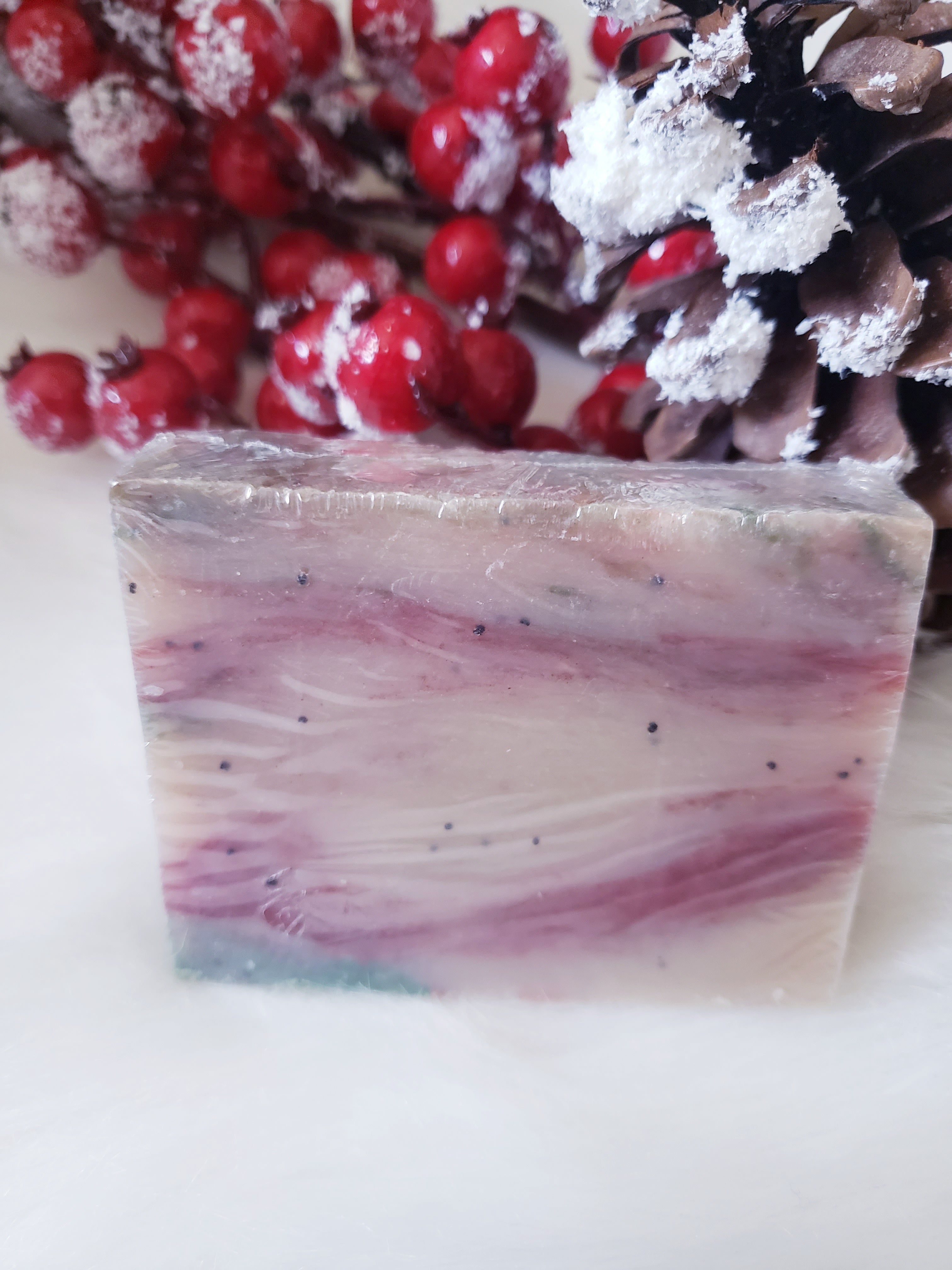 Santa Farts Vegan Soap